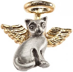 angel cat